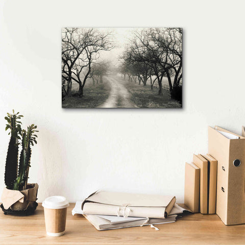 Image of 'Foggy Lane' by Lori Deiter, Canvas Wall Art,18 x 12
