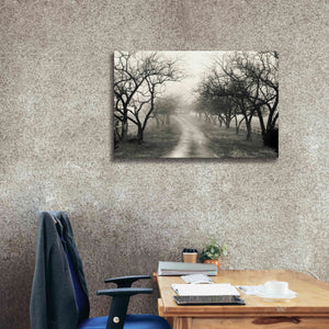 'Foggy Lane' by Lori Deiter, Canvas Wall Art,40 x 26