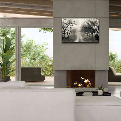 Image of 'Foggy Lane' by Lori Deiter, Canvas Wall Art,40 x 26