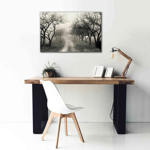 'Foggy Lane' by Lori Deiter, Canvas Wall Art,40 x 26