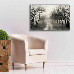 'Foggy Lane' by Lori Deiter, Canvas Wall Art,40 x 26