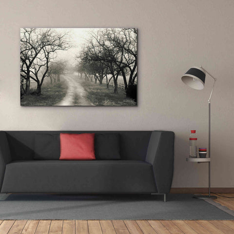 Image of 'Foggy Lane' by Lori Deiter, Canvas Wall Art,60 x 40