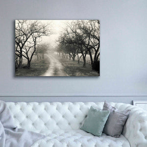 'Foggy Lane' by Lori Deiter, Canvas Wall Art,60 x 40