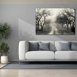 'Foggy Lane' by Lori Deiter, Canvas Wall Art,60 x 40