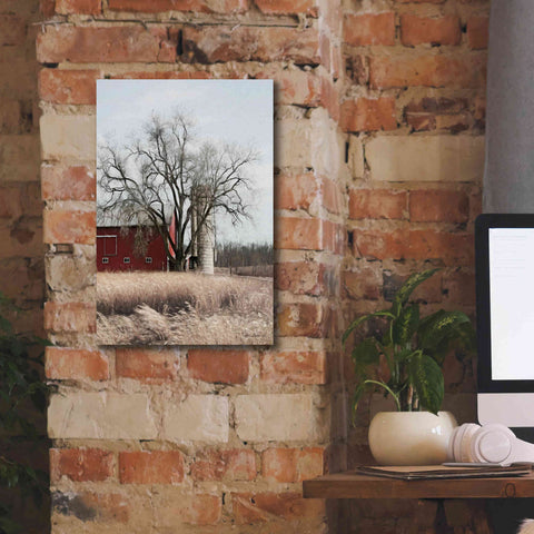 Image of 'Painted Silo' by Lori Deiter, Canvas Wall Art,12 x 18