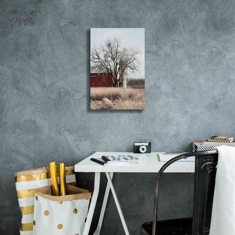 Image of 'Painted Silo' by Lori Deiter, Canvas Wall Art,12 x 18