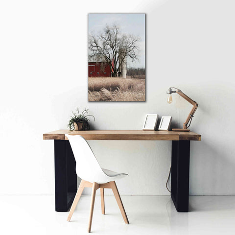 Image of 'Painted Silo' by Lori Deiter, Canvas Wall Art,26 x 40