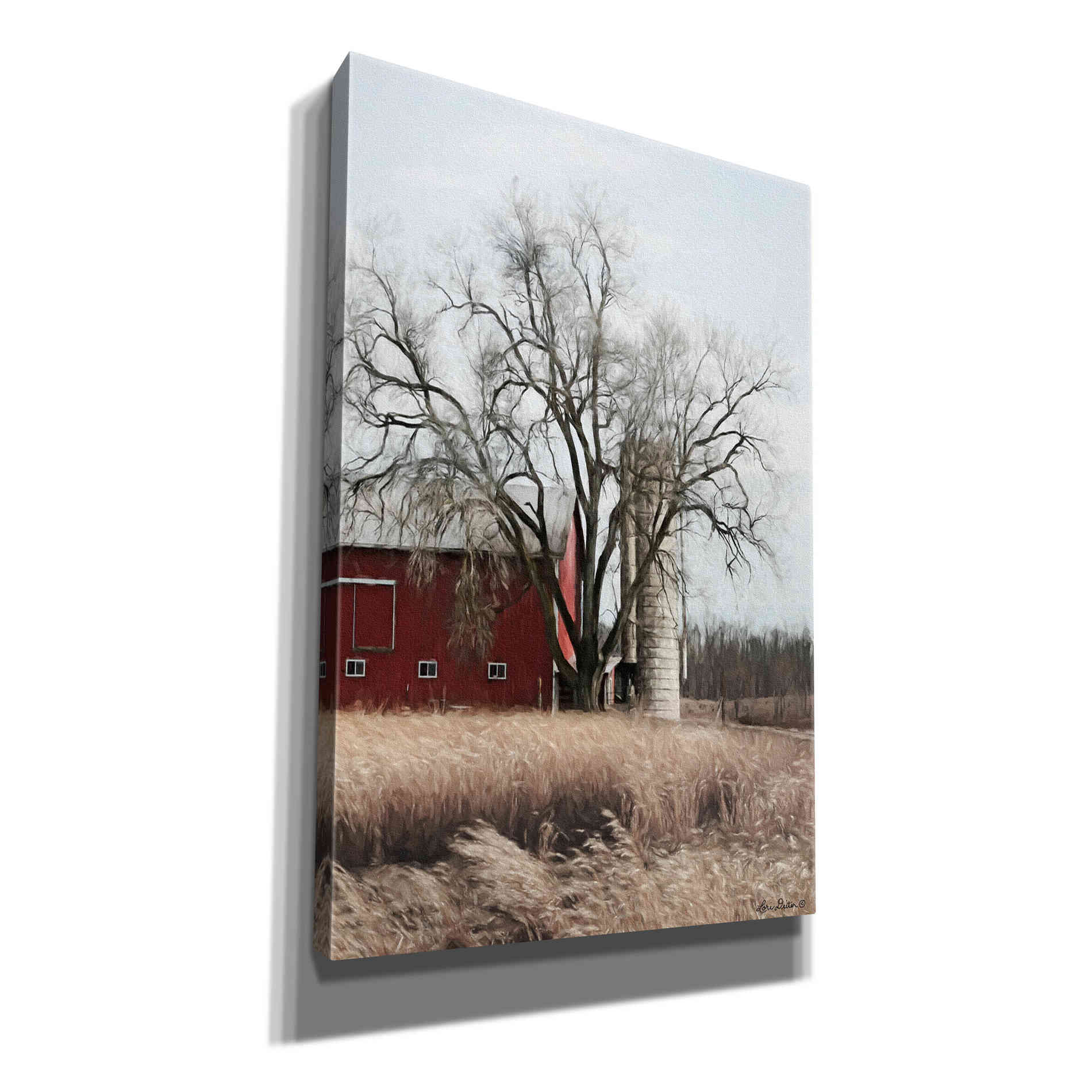 'Painted Silo' by Lori Deiter, Canvas Wall Art