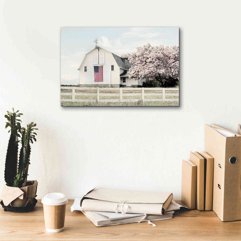 Image of 'Brownsville Patriot' by Lori Deiter, Canvas Wall Art,18 x 12