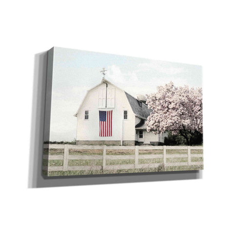 Image of 'Brownsville Patriot' by Lori Deiter, Canvas Wall Art