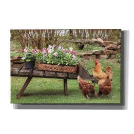 'Farmer's Flower Cart' by Lori Deiter, Canvas Wall Art