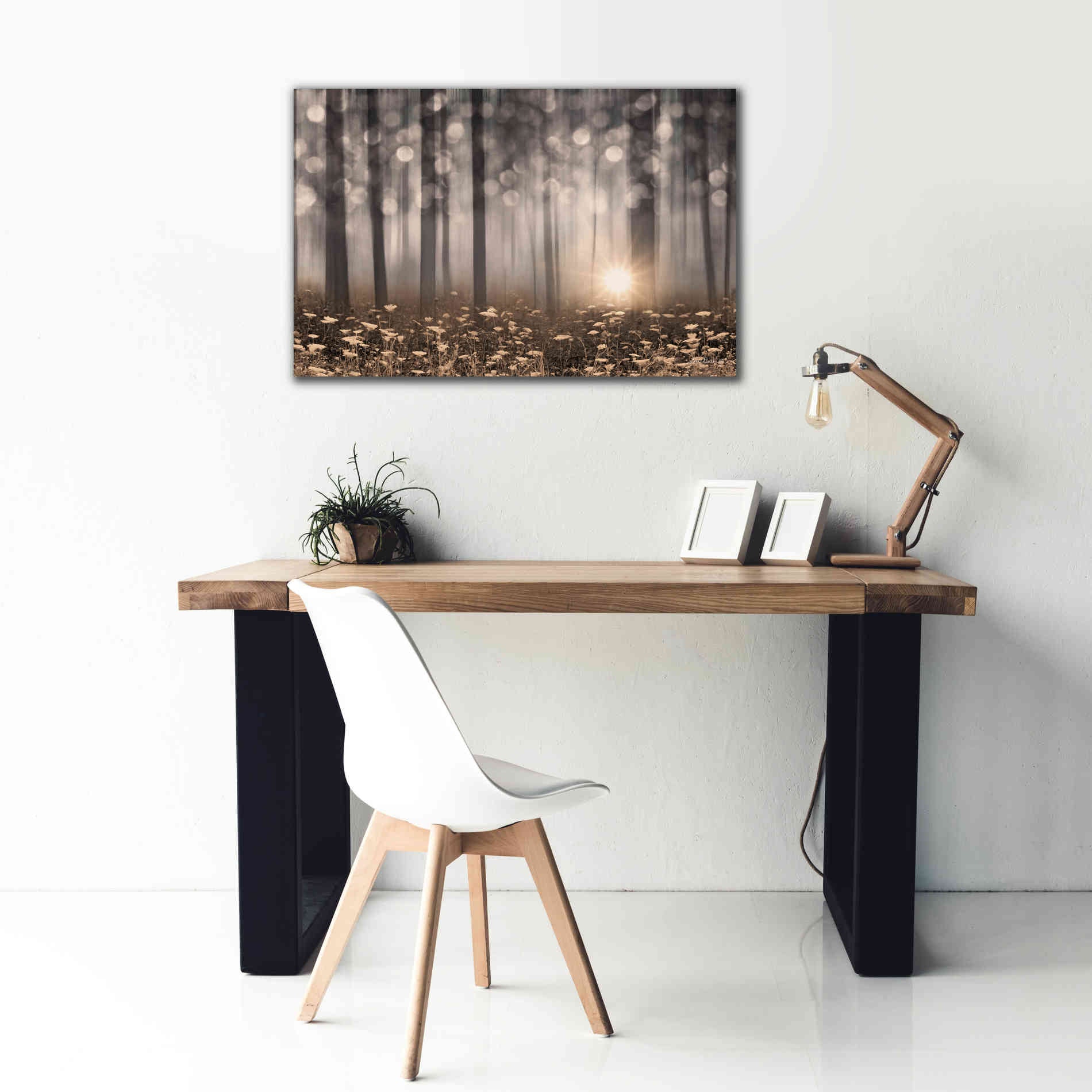 'Enchanted Morning' by Lori Deiter, Canvas Wall Art,40 x 26