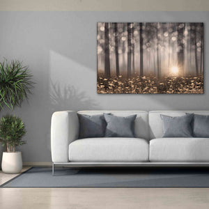 'Enchanted Morning' by Lori Deiter, Canvas Wall Art,60 x 40