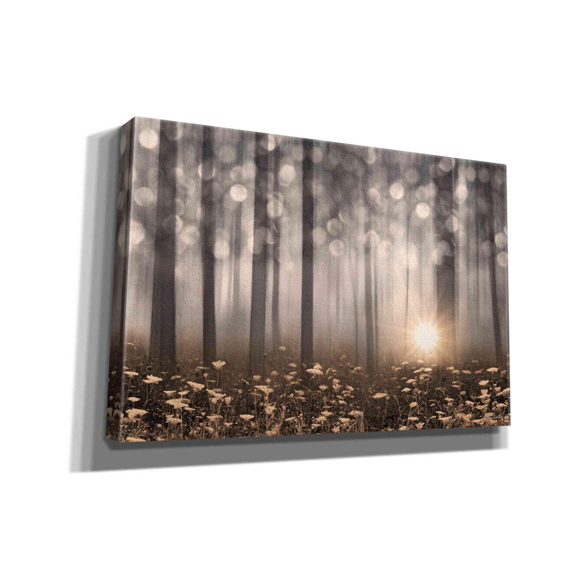 'Enchanted Morning' by Lori Deiter, Canvas Wall Art