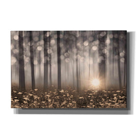 'Enchanted Morning' by Lori Deiter, Canvas Wall Art