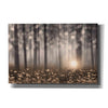 'Enchanted Morning' by Lori Deiter, Canvas Wall Art