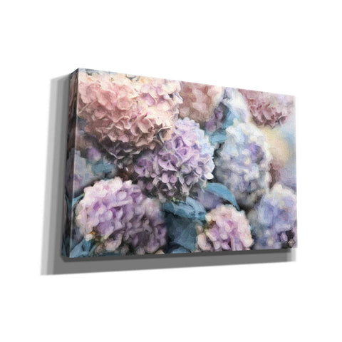Image of 'Hydrangeas Abstract' by Lori Deiter, Canvas Wall Art