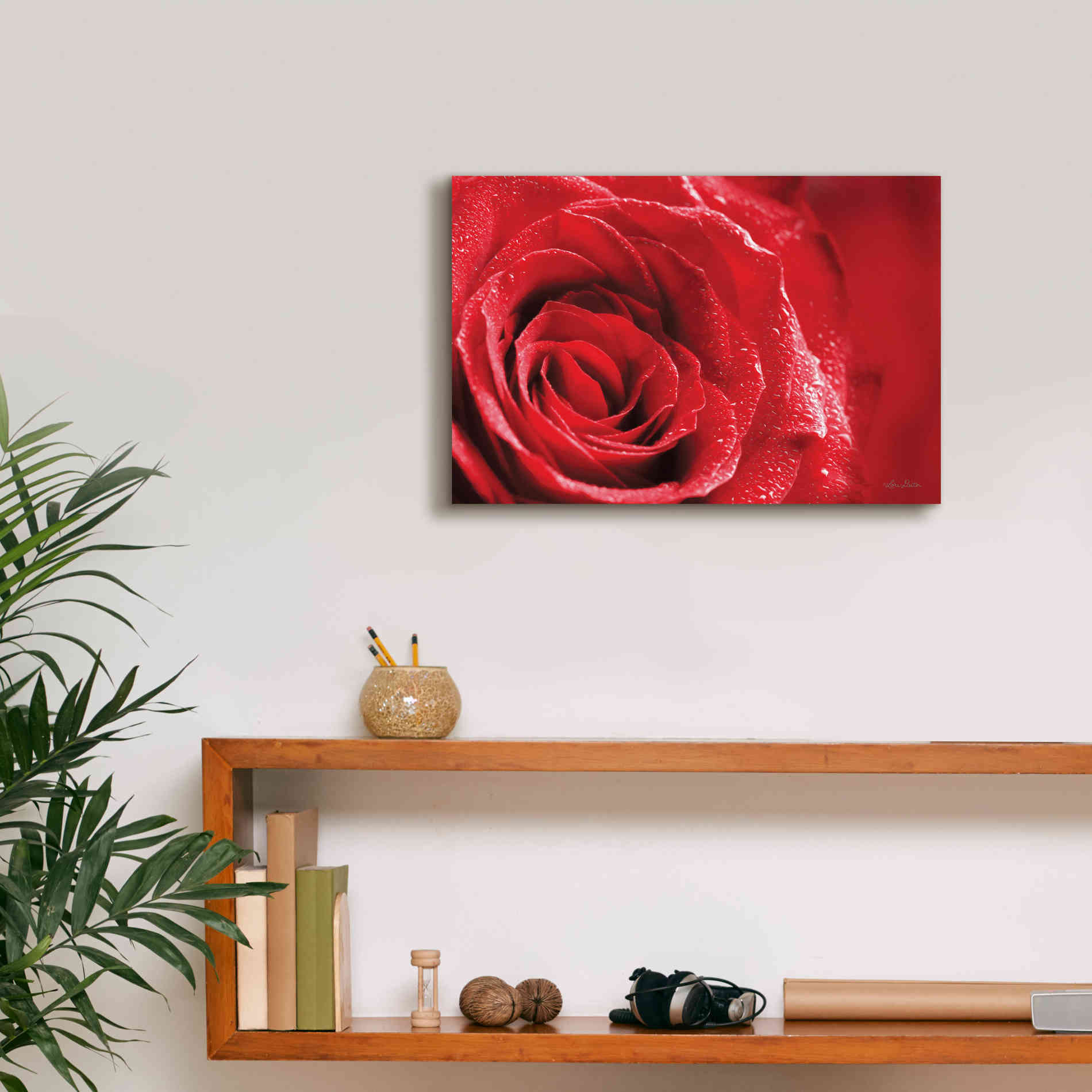 'Red Rose After Rain' by Lori Deiter, Canvas Wall Art,18 x 12