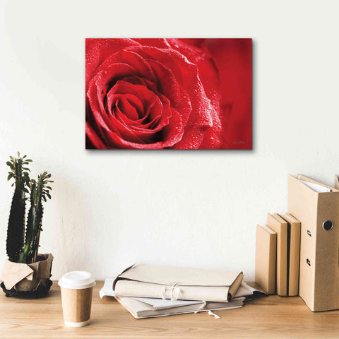 Image of 'Red Rose After Rain' by Lori Deiter, Canvas Wall Art,18 x 12