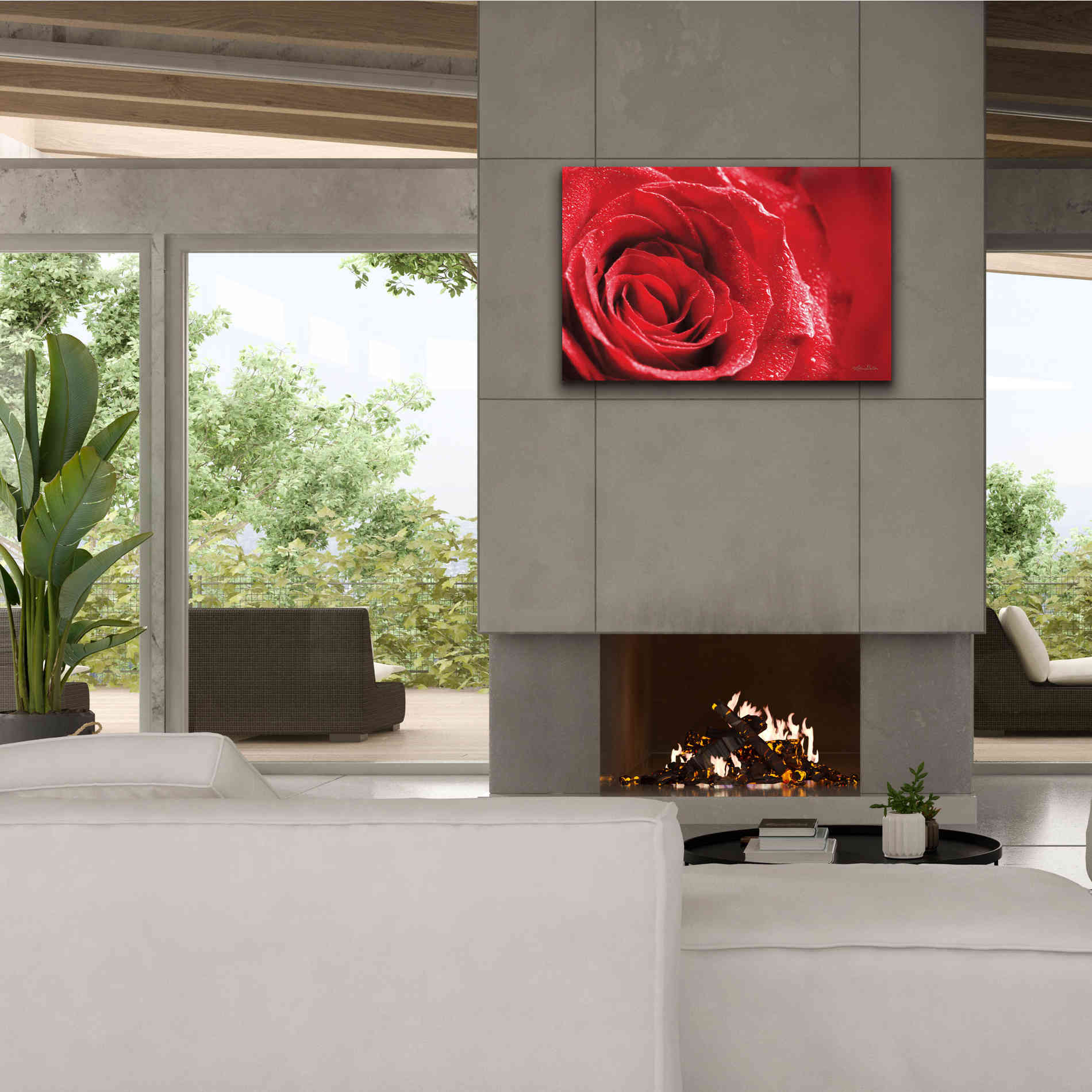'Red Rose After Rain' by Lori Deiter, Canvas Wall Art,40 x 26