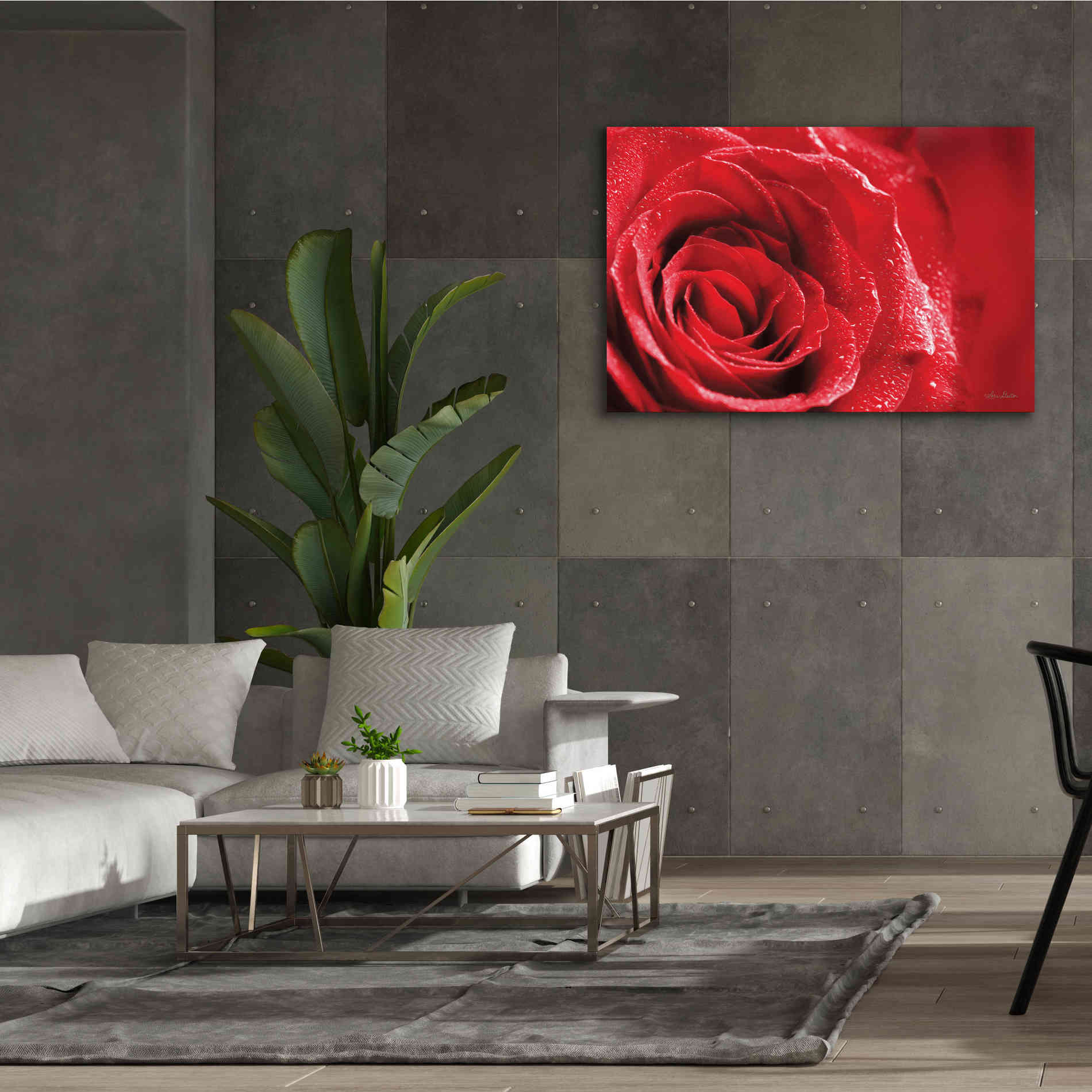 'Red Rose After Rain' by Lori Deiter, Canvas Wall Art,60 x 40