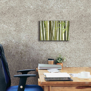 'Backlit Bamboo I' by Lori Deiter, Canvas Wall Art,18 x 12