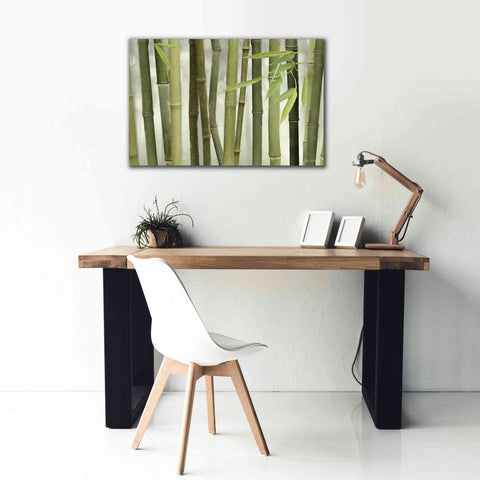 Image of 'Backlit Bamboo I' by Lori Deiter, Canvas Wall Art,40 x 26