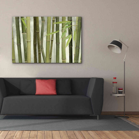 Image of 'Backlit Bamboo I' by Lori Deiter, Canvas Wall Art,60 x 40
