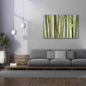 'Backlit Bamboo I' by Lori Deiter, Canvas Wall Art,60 x 40
