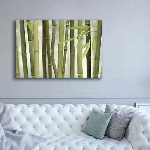 Image of 'Backlit Bamboo I' by Lori Deiter, Canvas Wall Art,60 x 40