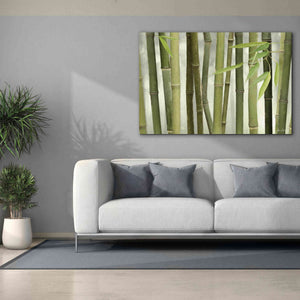 'Backlit Bamboo I' by Lori Deiter, Canvas Wall Art,60 x 40