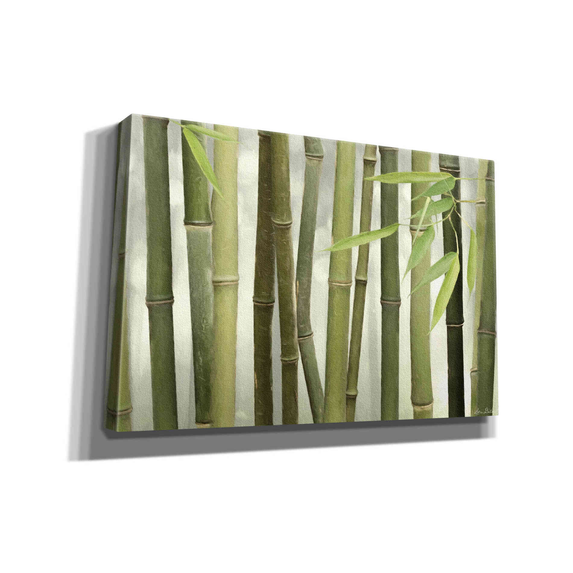 'Backlit Bamboo I' by Lori Deiter, Canvas Wall Art