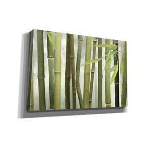 'Backlit Bamboo I' by Lori Deiter, Canvas Wall Art