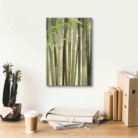 Image of 'Backlit Bamboo II' by Lori Deiter, Canvas Wall Art,12 x 18