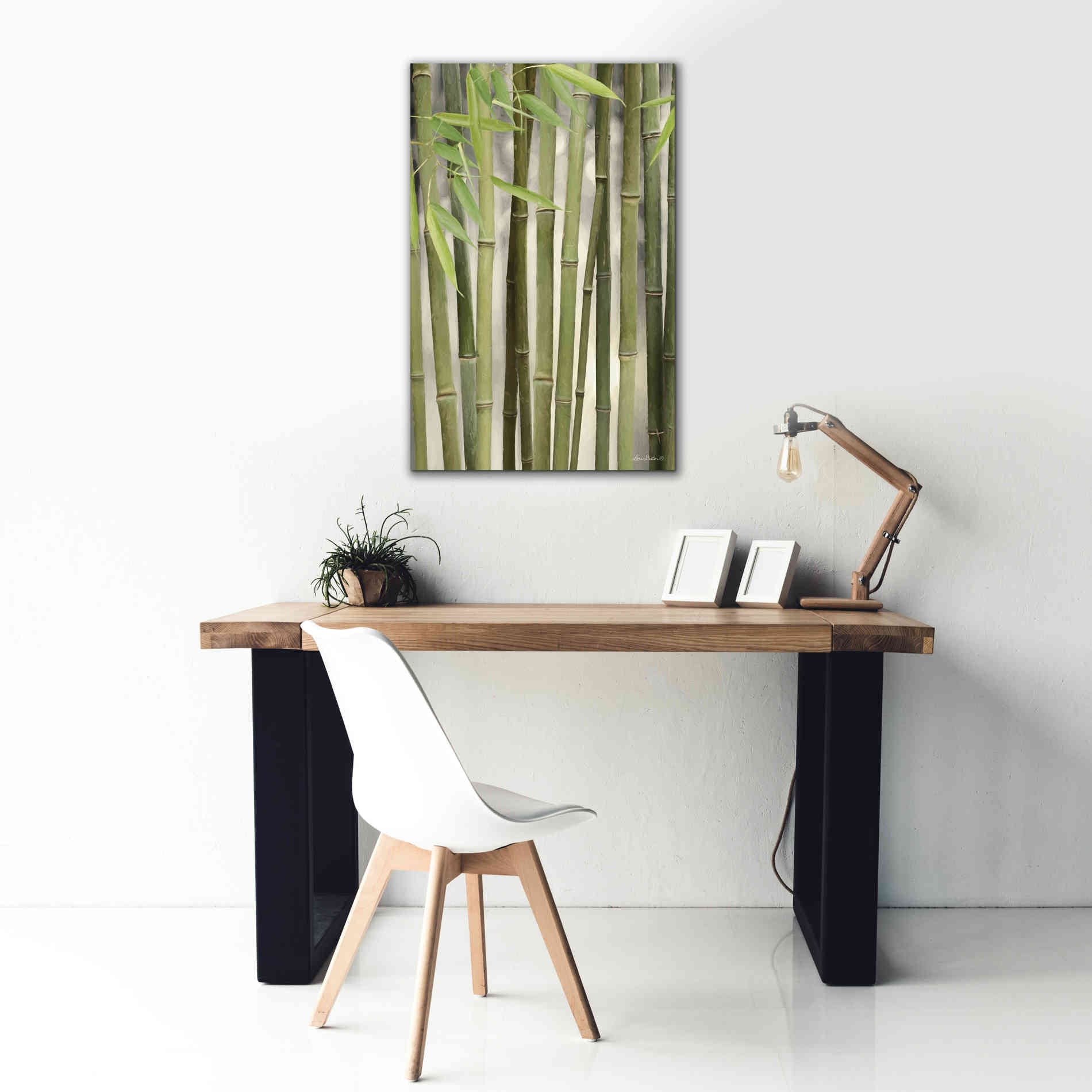 'Backlit Bamboo II' by Lori Deiter, Canvas Wall Art,26 x 40