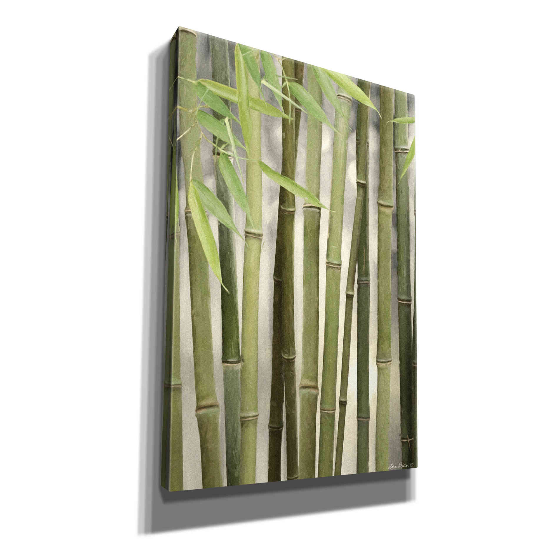 'Backlit Bamboo II' by Lori Deiter, Canvas Wall Art