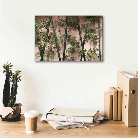Image of 'Bamboo on Blush' by Lori Deiter, Canvas Wall Art,18 x 12