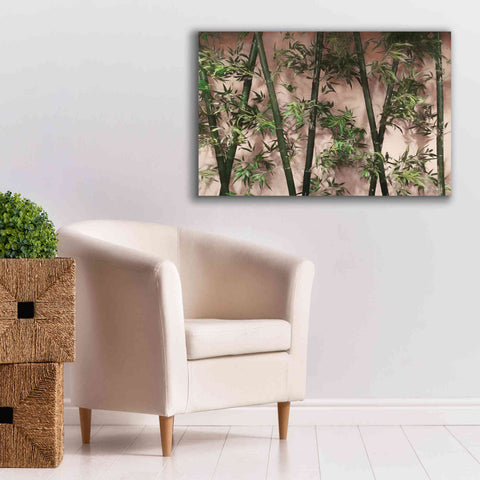 Image of 'Bamboo on Blush' by Lori Deiter, Canvas Wall Art,40 x 26