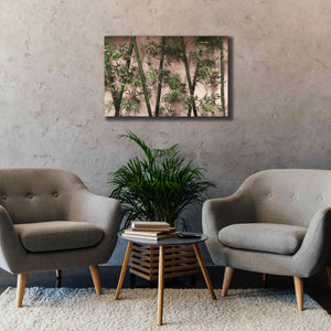 'Bamboo on Blush' by Lori Deiter, Canvas Wall Art,40 x 26
