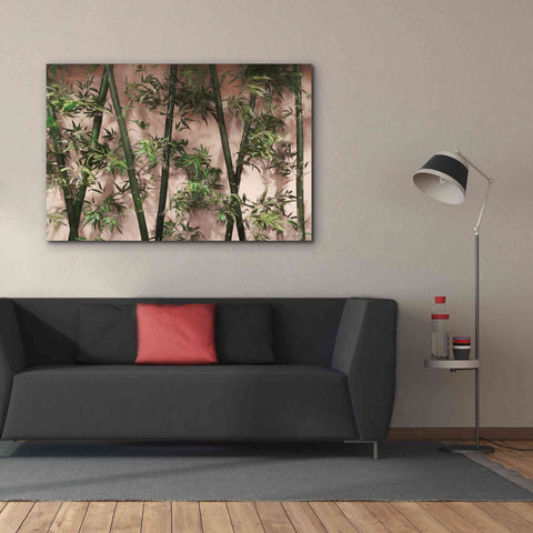 Image of 'Bamboo on Blush' by Lori Deiter, Canvas Wall Art,60 x 40