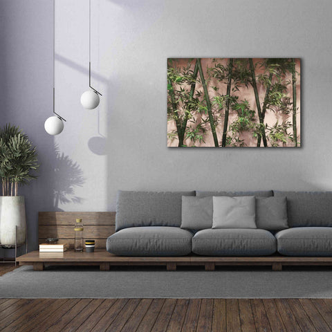Image of 'Bamboo on Blush' by Lori Deiter, Canvas Wall Art,60 x 40