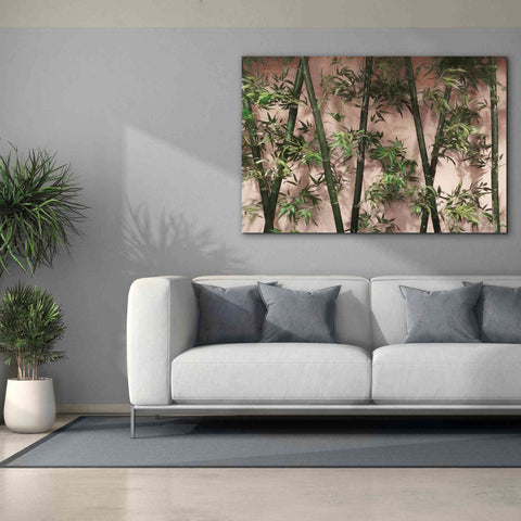 Image of 'Bamboo on Blush' by Lori Deiter, Canvas Wall Art,60 x 40