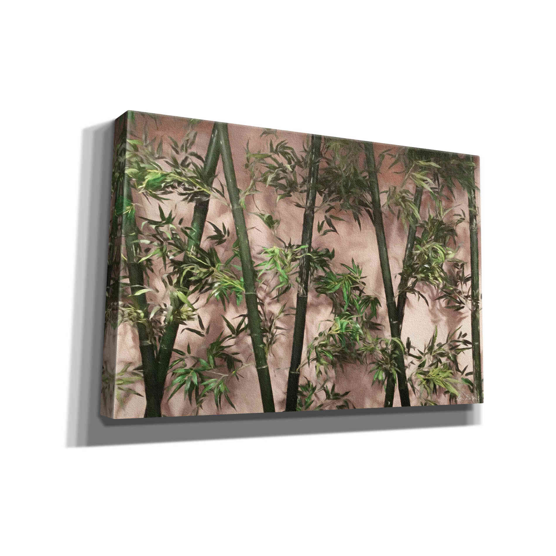 'Bamboo on Blush' by Lori Deiter, Canvas Wall Art
