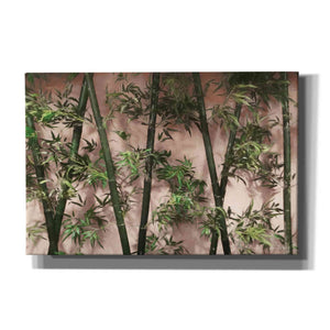 'Bamboo on Blush' by Lori Deiter, Canvas Wall Art
