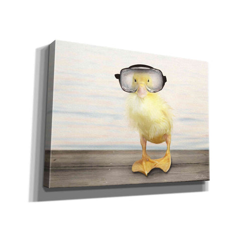 Image of 'Diving Duck' by Lori Deiter, Canvas Wall Art