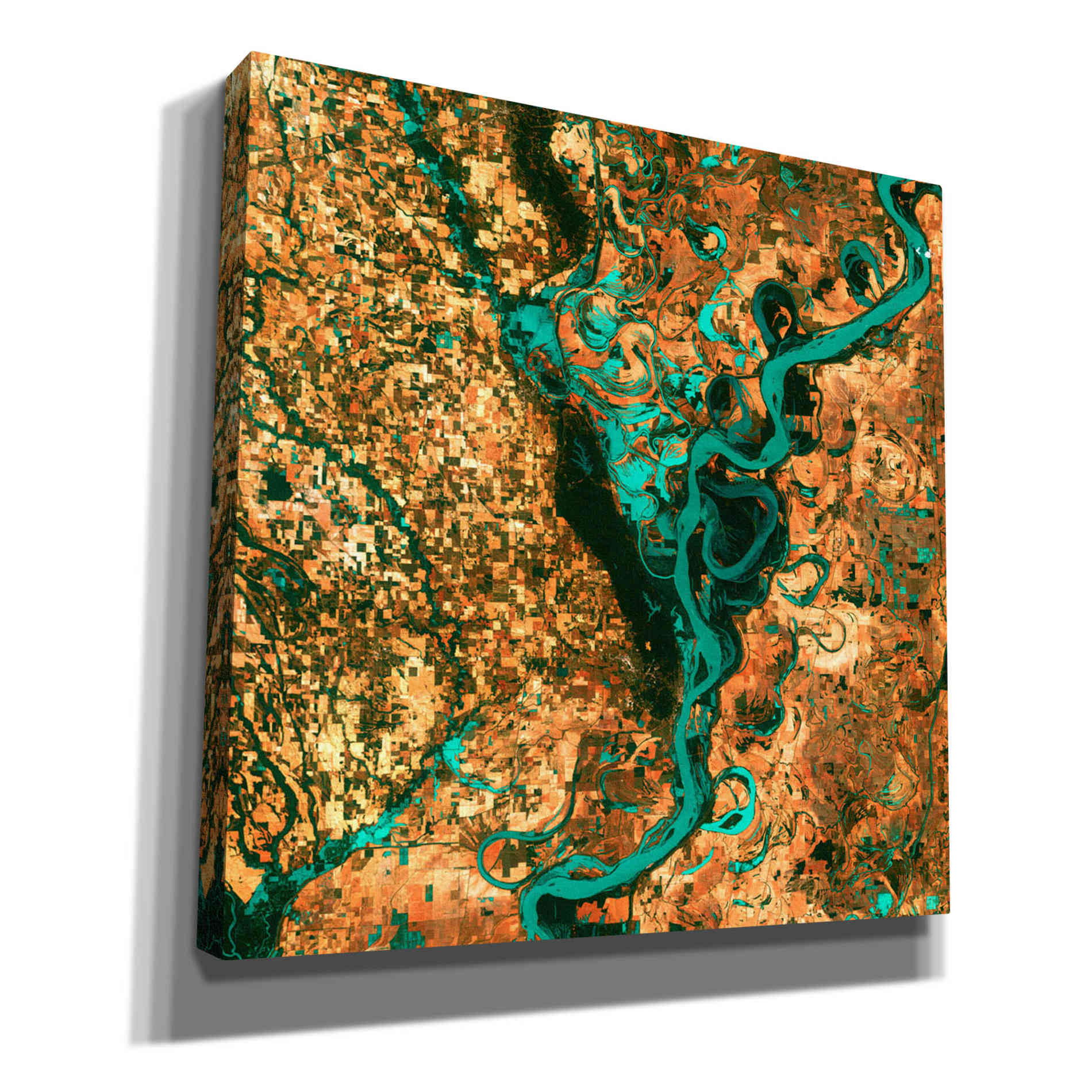 'Meandering' Canvas Wall Art
