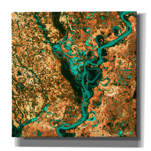 'Meandering' Canvas Wall Art