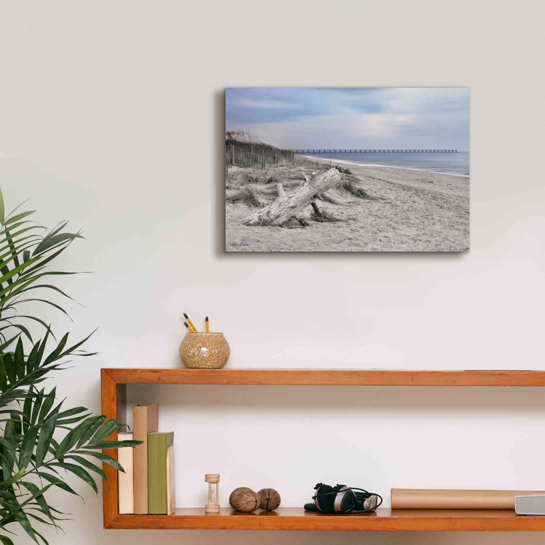 'Outer Banks Beach' by Lori Deiter, Canvas Wall Art,18 x 12