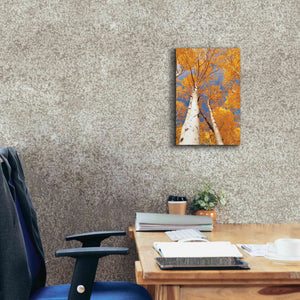 'Aspen I' by Lori Deiter, Canvas Wall Art,12 x 18