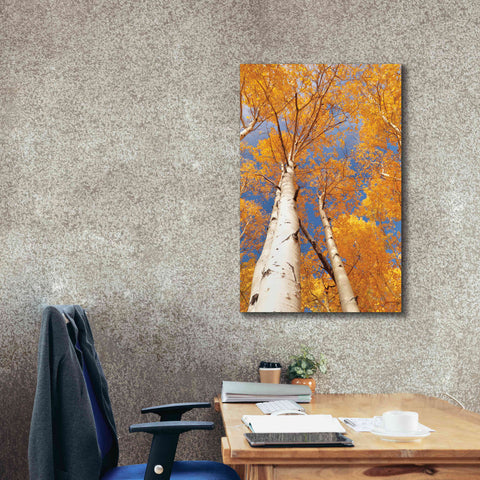 Image of 'Aspen I' by Lori Deiter, Canvas Wall Art,26 x 40